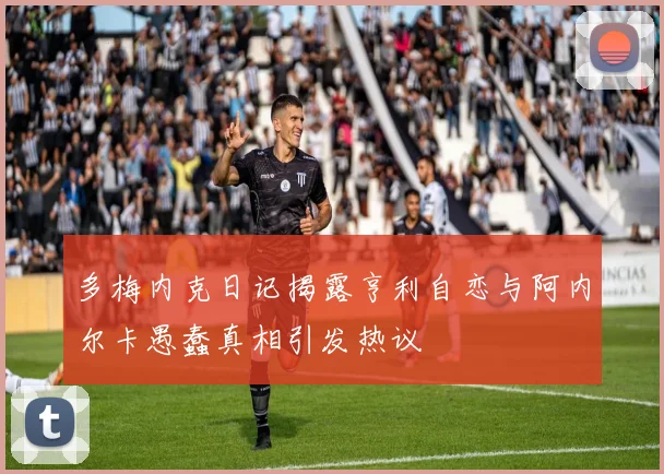 多梅内克日记揭露亨利自恋与阿内尔卡愚蠢真相引发热议
